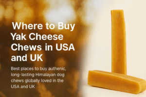 Banner image showing Himalayan yak cheese dog chews with warm natural background, representing where to buy yak cheese chews in the USA and UK.