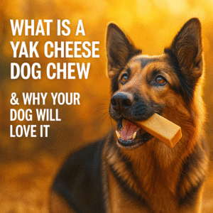 yak cheese dog chew