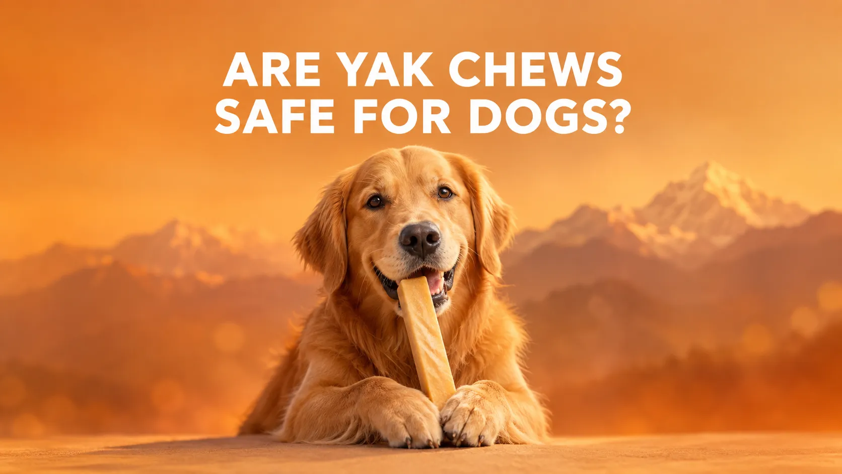 Are Yak Chews Safe for Dogs